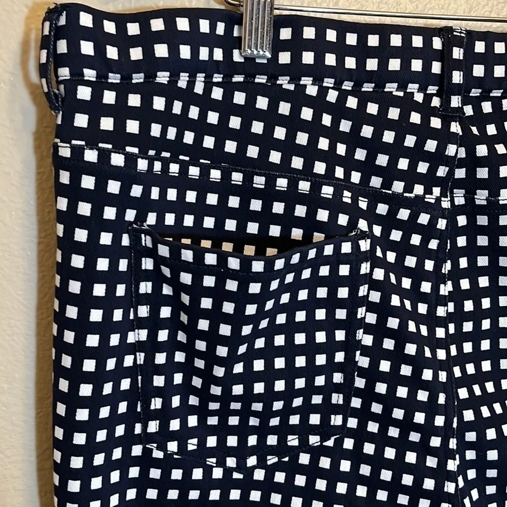 Legacy Navy Checkered Plus Size Pants